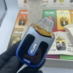 Kopen Plume 2g Disposable