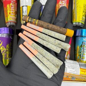 Kopen Luigi 7PK Preroll