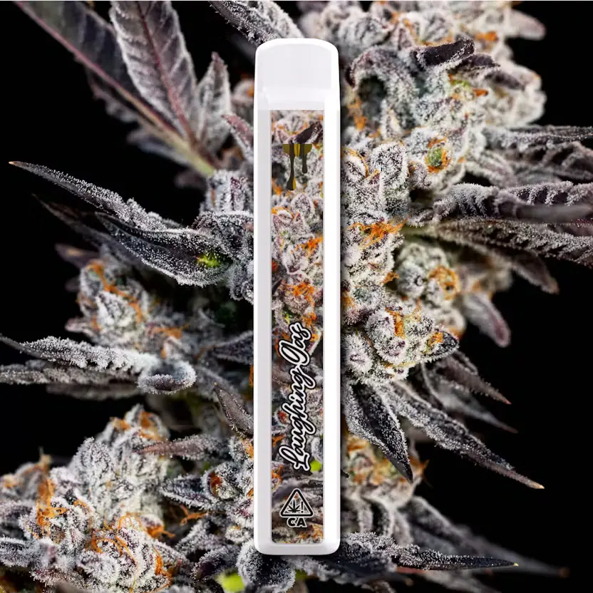 Cryo-Cured-Live-Resin-Laughing-Gas-1G-Disposable.webp