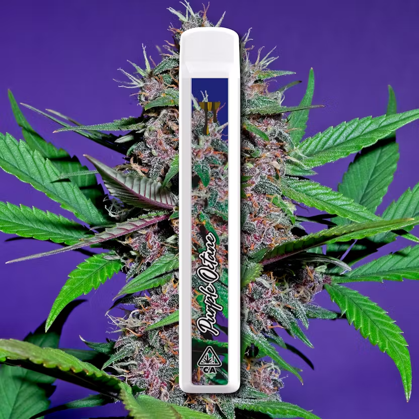 Cryo-Cured-Live-Resin-Purple-Octane-1G-Disposable.webp