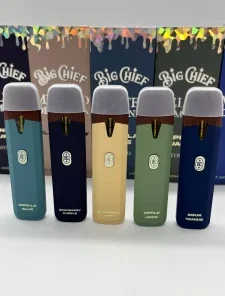 Big chief disposable