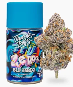 jungle boys strains
