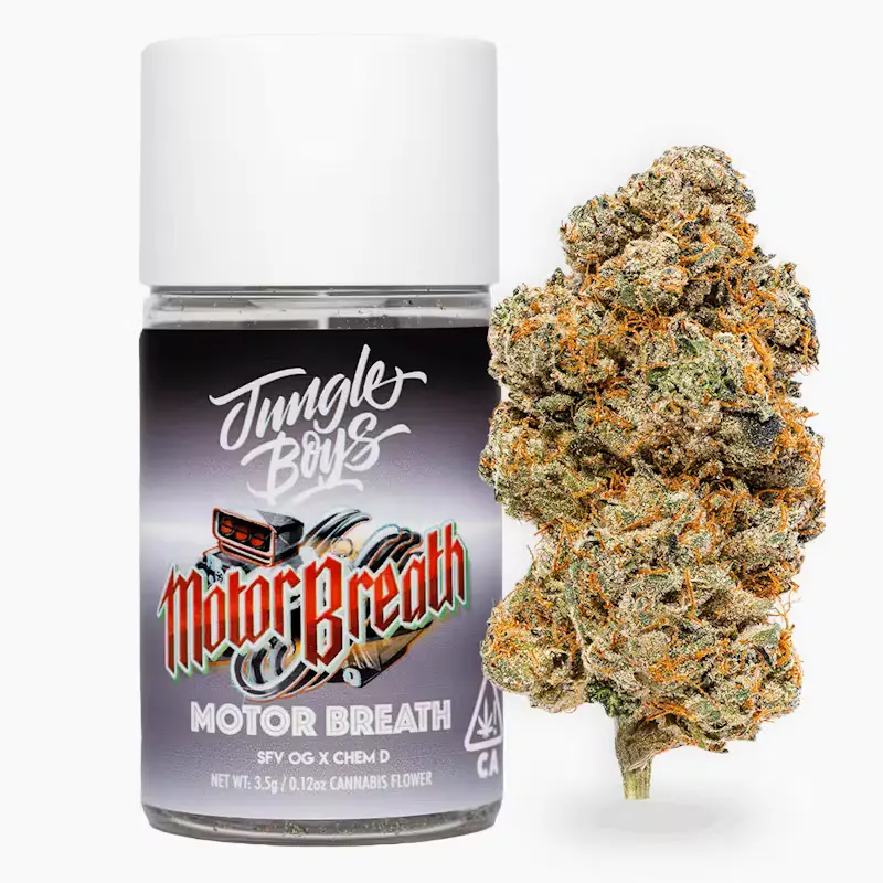 jungle-boys-vape_.webp
